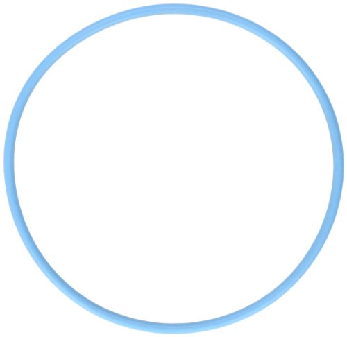 Pentair 270197Z ORING 2-243 Blue Replacement