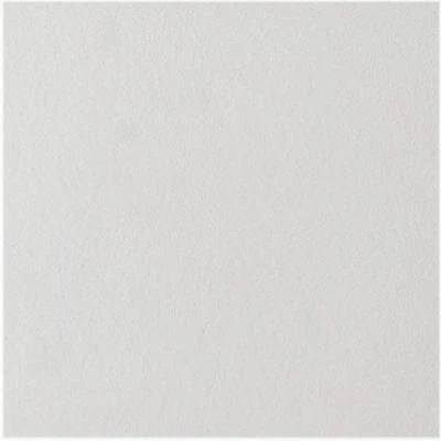 White 12x12-inch Smooth Ceiling Tile For Drop Ceilings