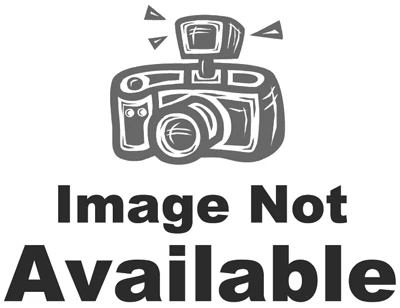 Durable 9" Paint Roller Frame With 4-wire Design