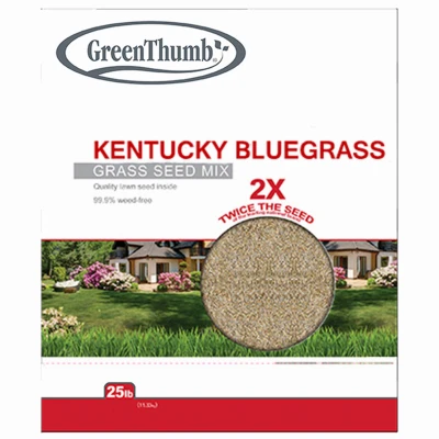 25 Lb Kentucky Bluegrass Seed – Covers 12,500 Sq Ft
