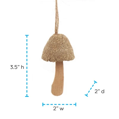 Health-e Schroom Small Pet Chew Toy