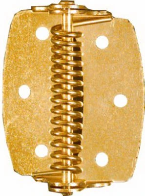 2-inch Brass Spring Hinge – 2 Pack