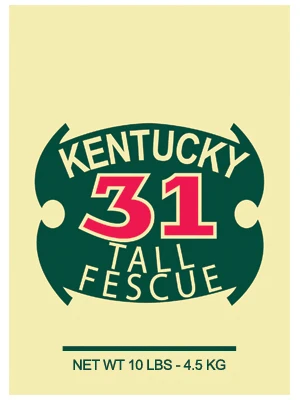 Kentucky 31 Tall Fescue Grass Seed – 10 Lbs For 1,250 Sq Ft Coverage