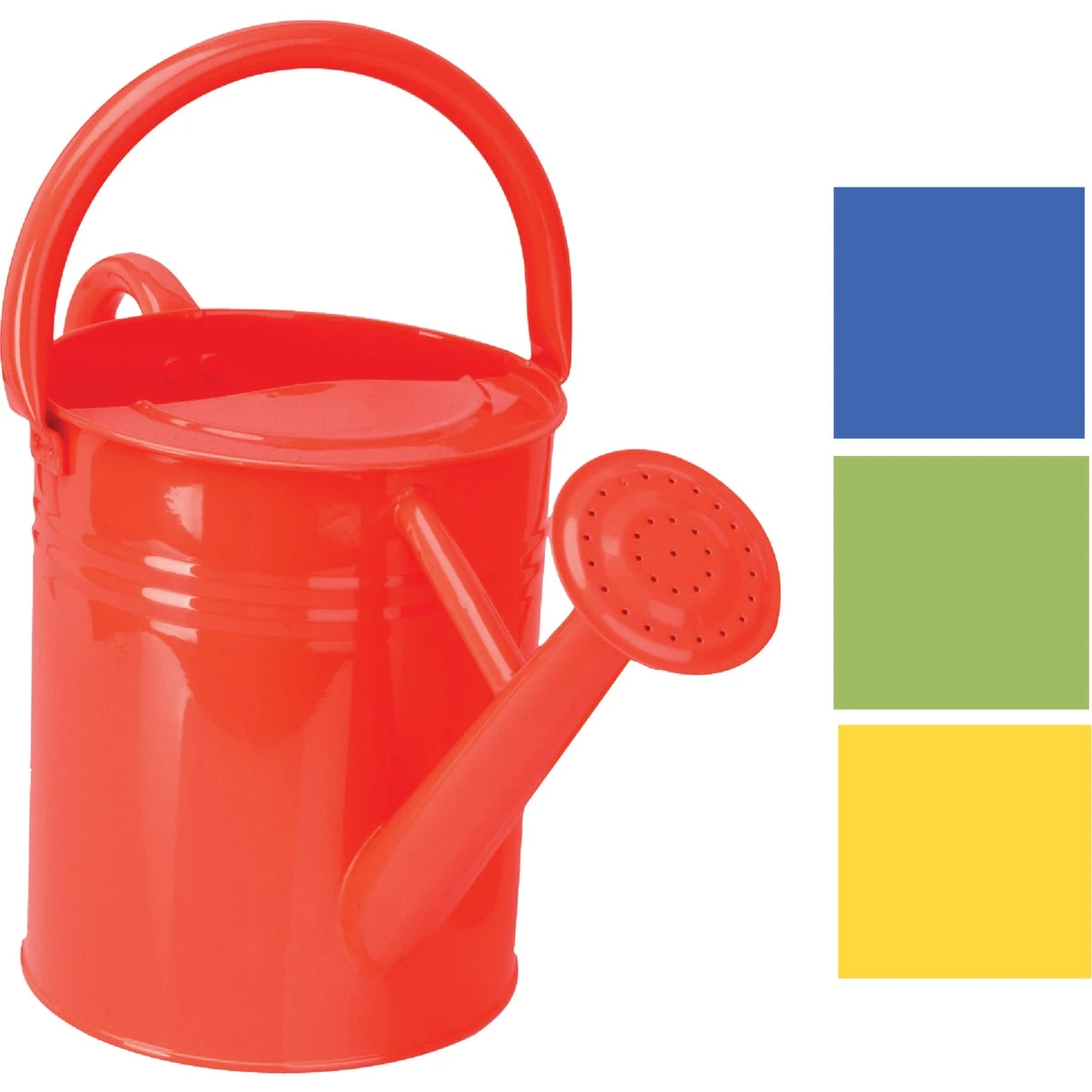1 Gallon Assorted Metal Watering Can With Angled Spout And Diffuser