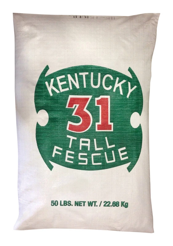 50 Lb. Kentucky 31 Tall Fescue Grass Seed For Full Sun/medium Shade