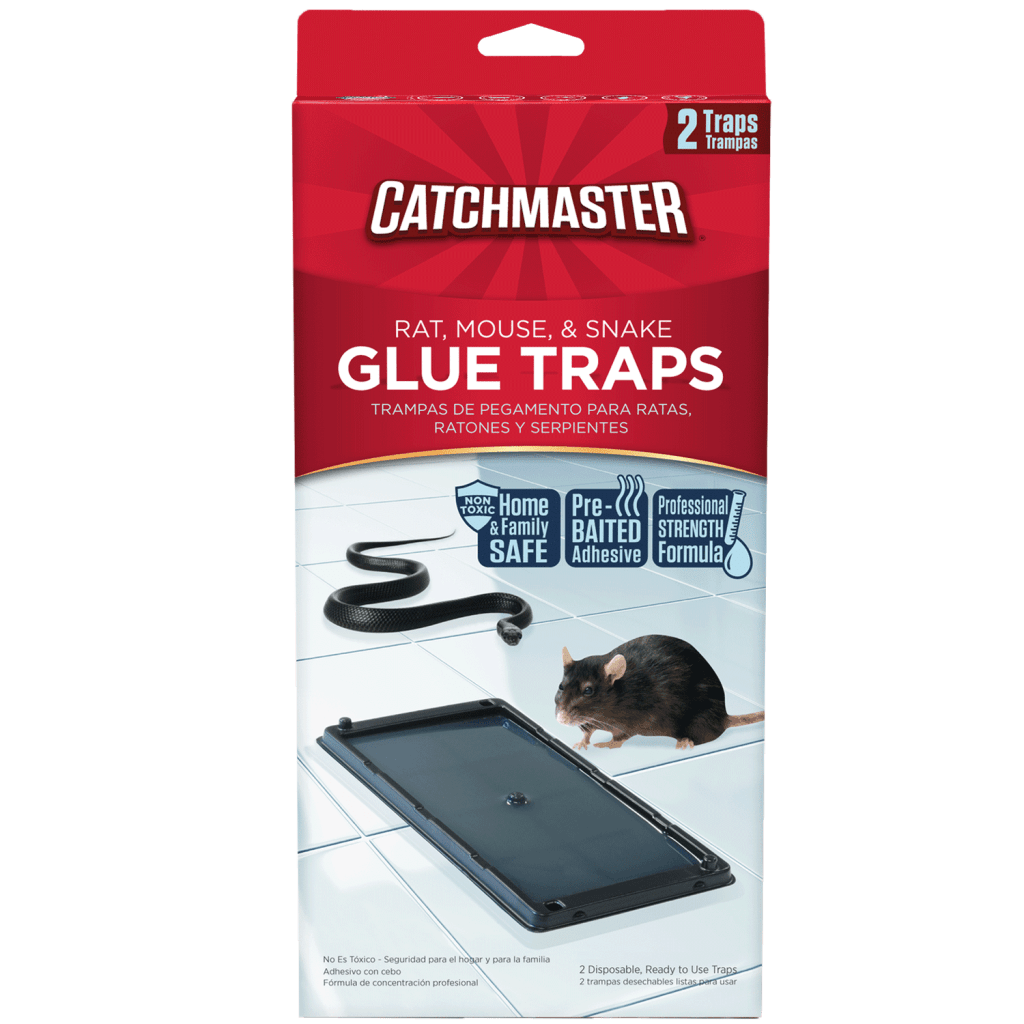 Rat, Mouse & Snake Glue Traps, 2-pk.