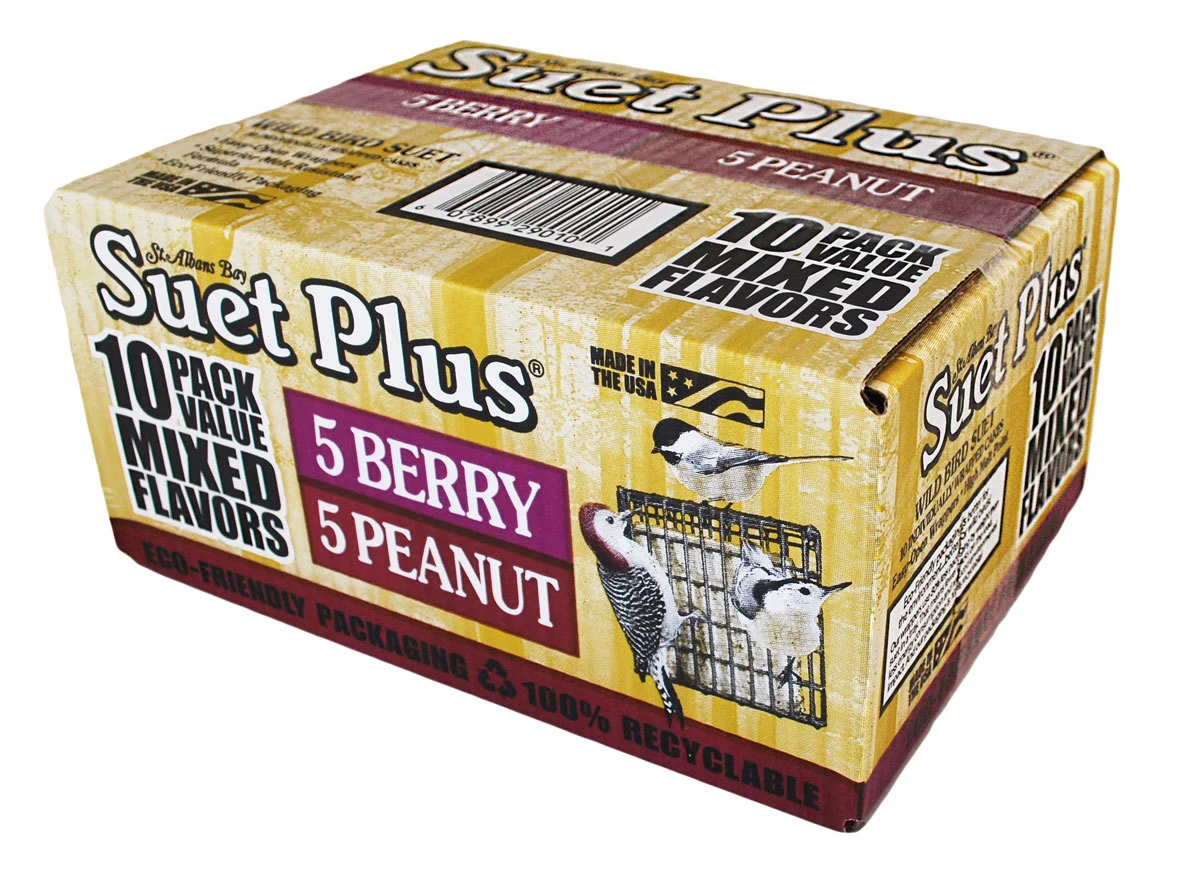 Suet Plus Berry & Peanut Suet (10-pack)