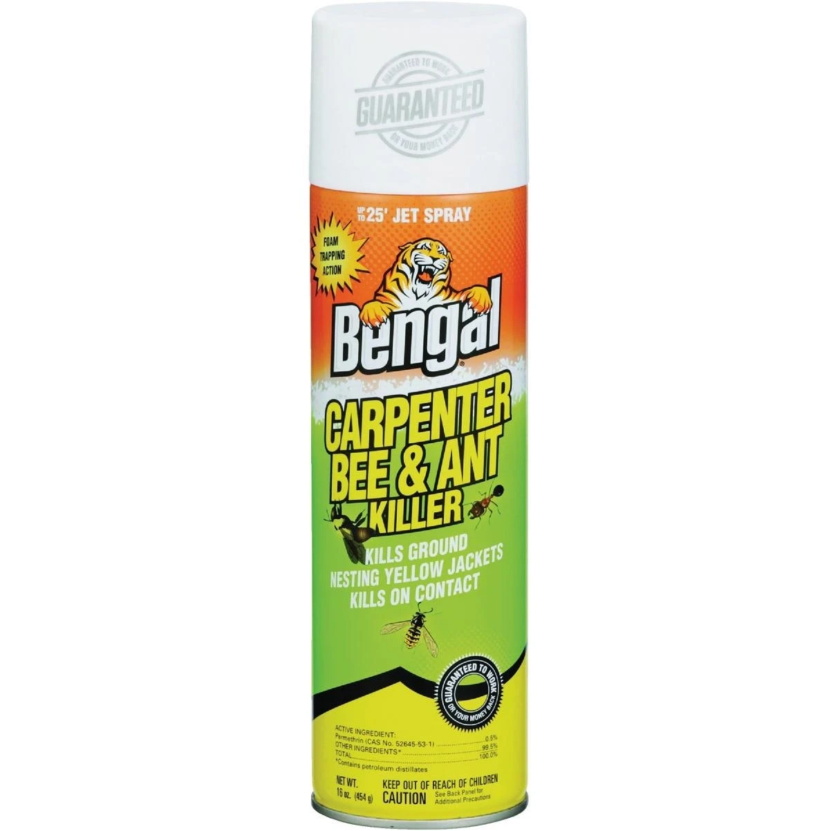 16 Oz. Aerosol Spray Carpenter Bee & Ant Killer
