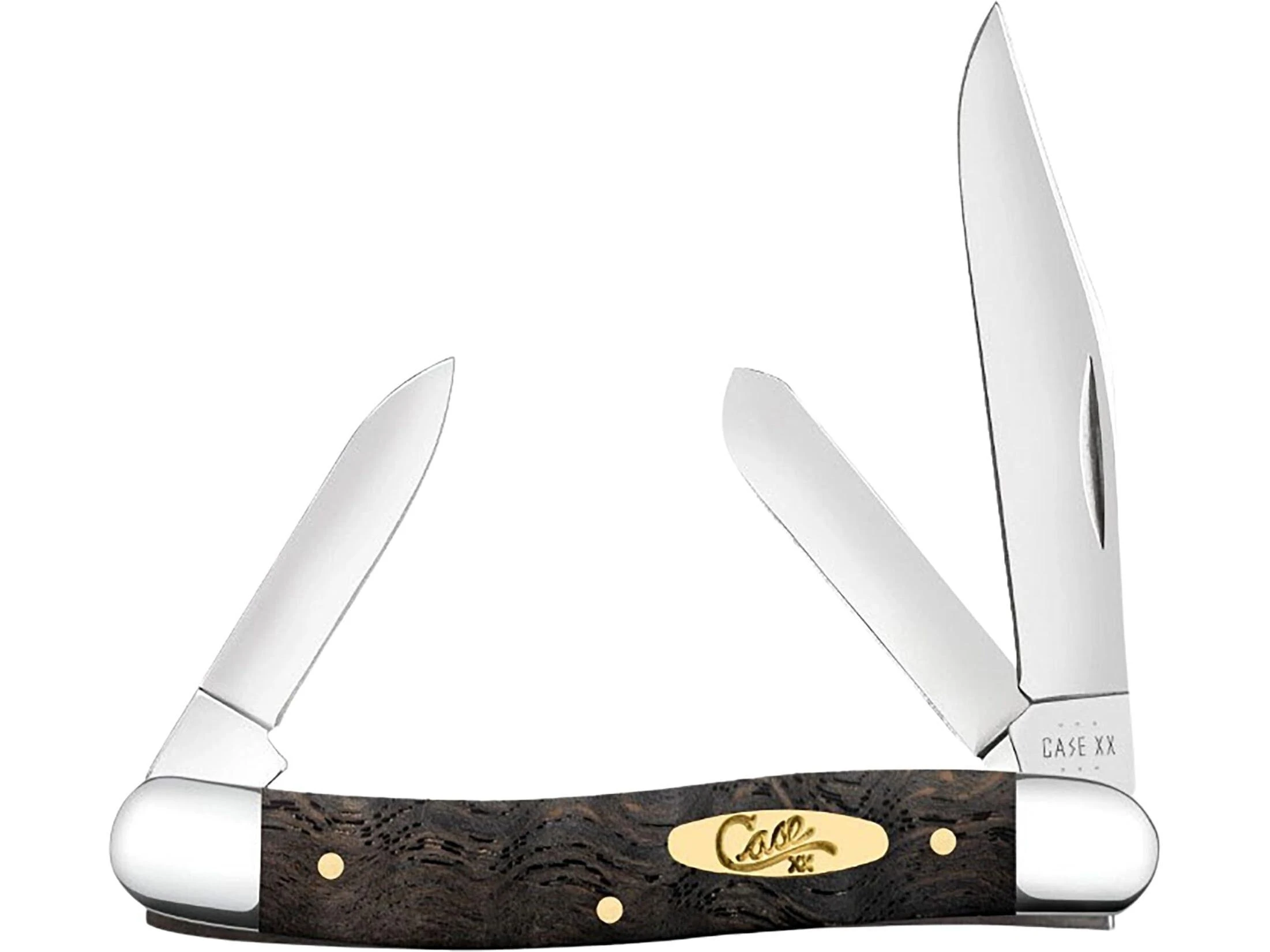 Black Curly Oak Medium Folding Knife – Stainless Clip, Multi‑blade & Nickel‑silver Bolster