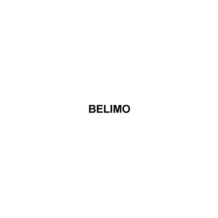 Belimo B218B+TFRB24-3 CCV 0.75 Inch 2 Way 7.4Cv Brass 24V SR Floating Valve